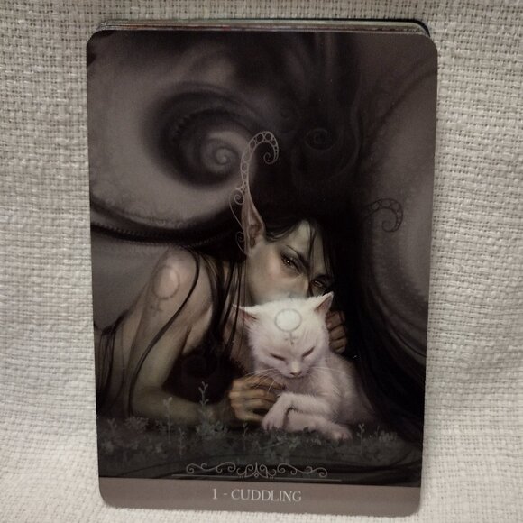 Fantasy Cats Oracle - Picture 4 of 11